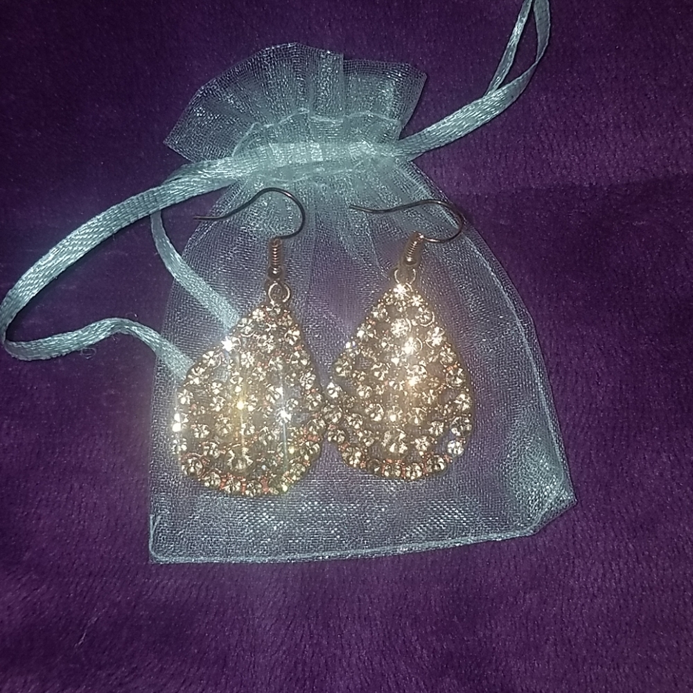 Rose Gold Earrings